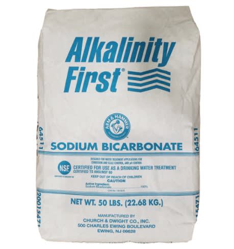 Popular Alkalinity Up 50 lb Bag
